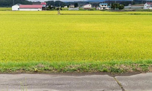 抓好农企两端，化解农地流转风险